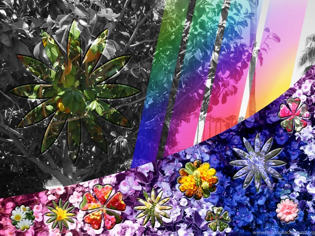 Abstract Flower Wallpapers By Humble Novice On DeviantArt