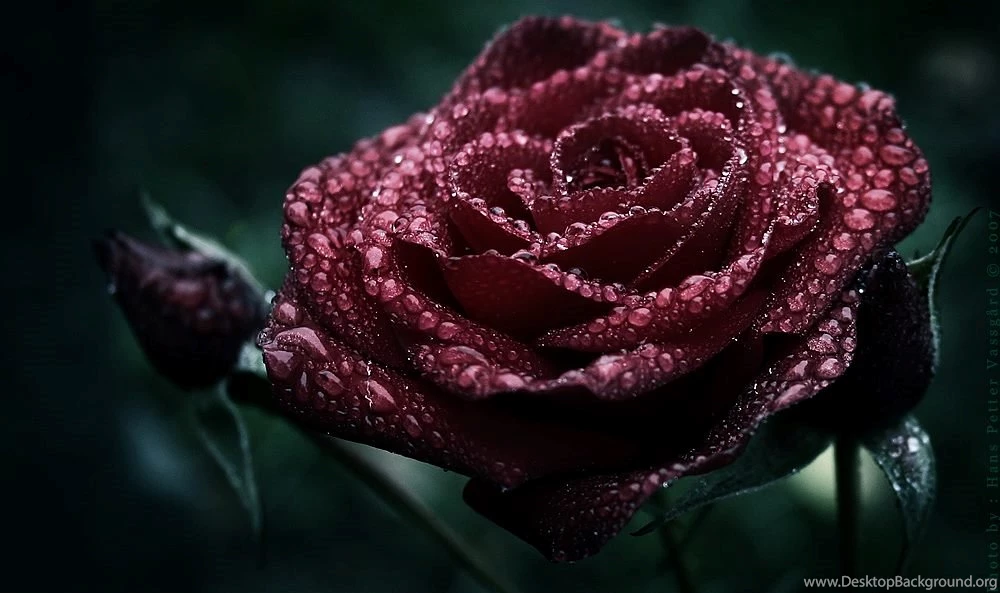 Gothic Wallpapers Collection (39+)