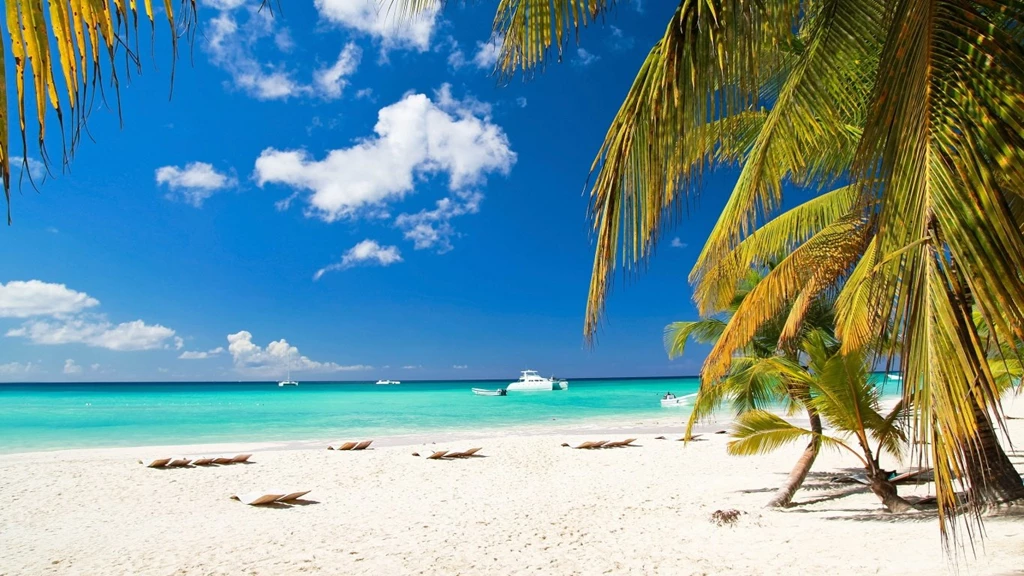 More Beautiful Palm Tree Wallpapers