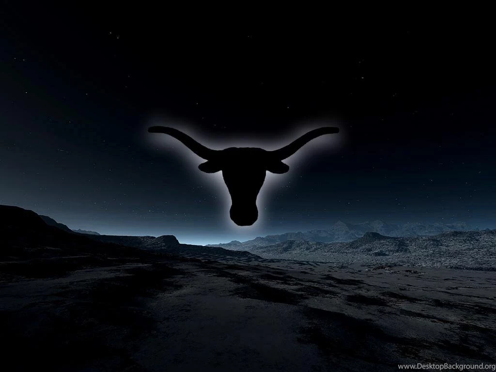Longhorn Wallpapers Wallpapers Cave