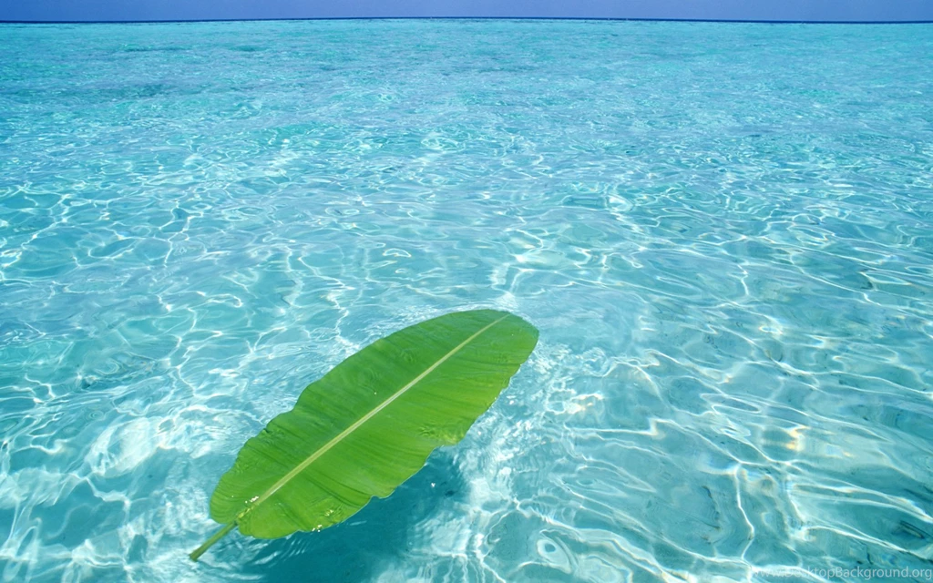 Water Wallpapers Hd Collection (40+)