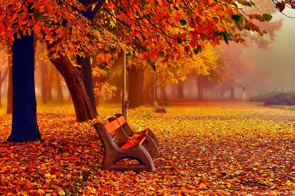 Autumn Fall Wallpapers November Desktop Background
