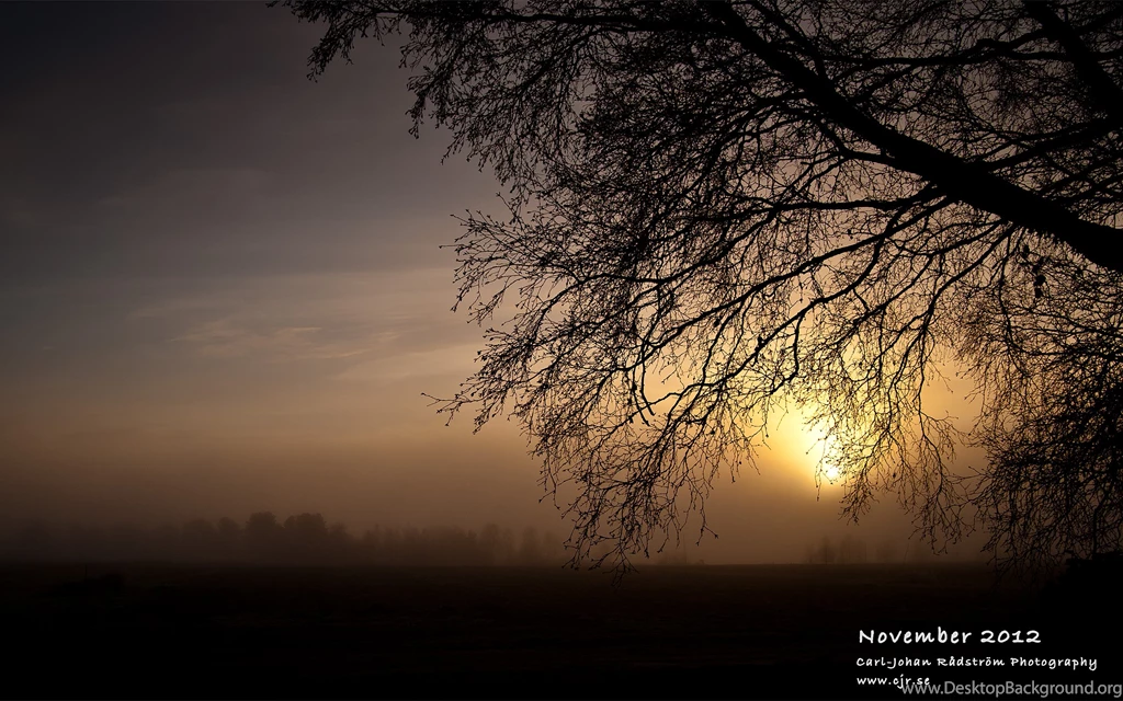 November 2012 Desktop Wallpapers