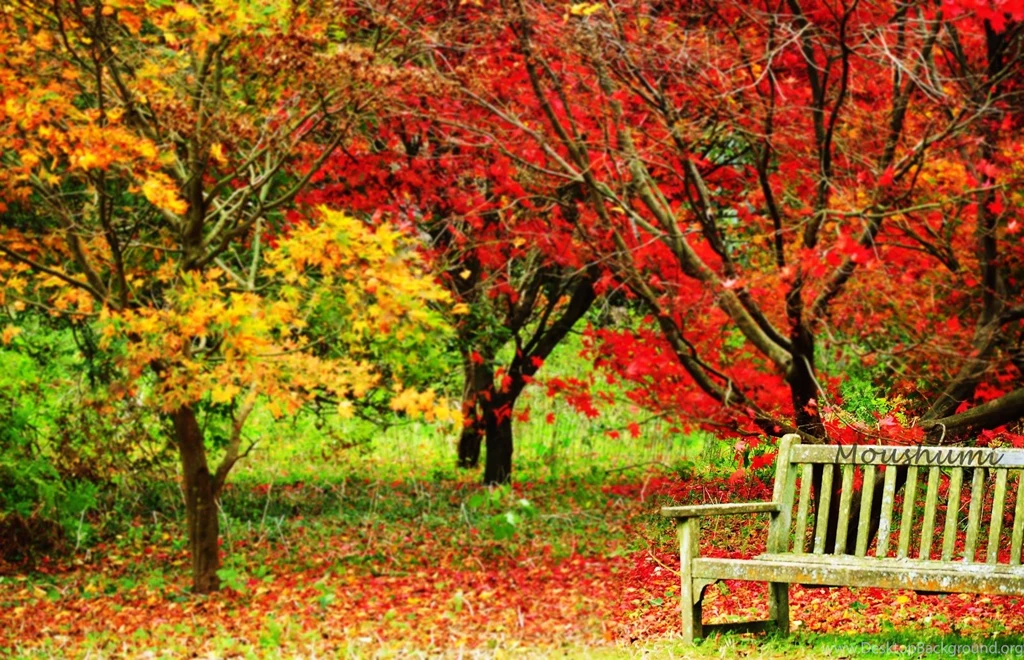 Autumn November Wallpapers Full Picture