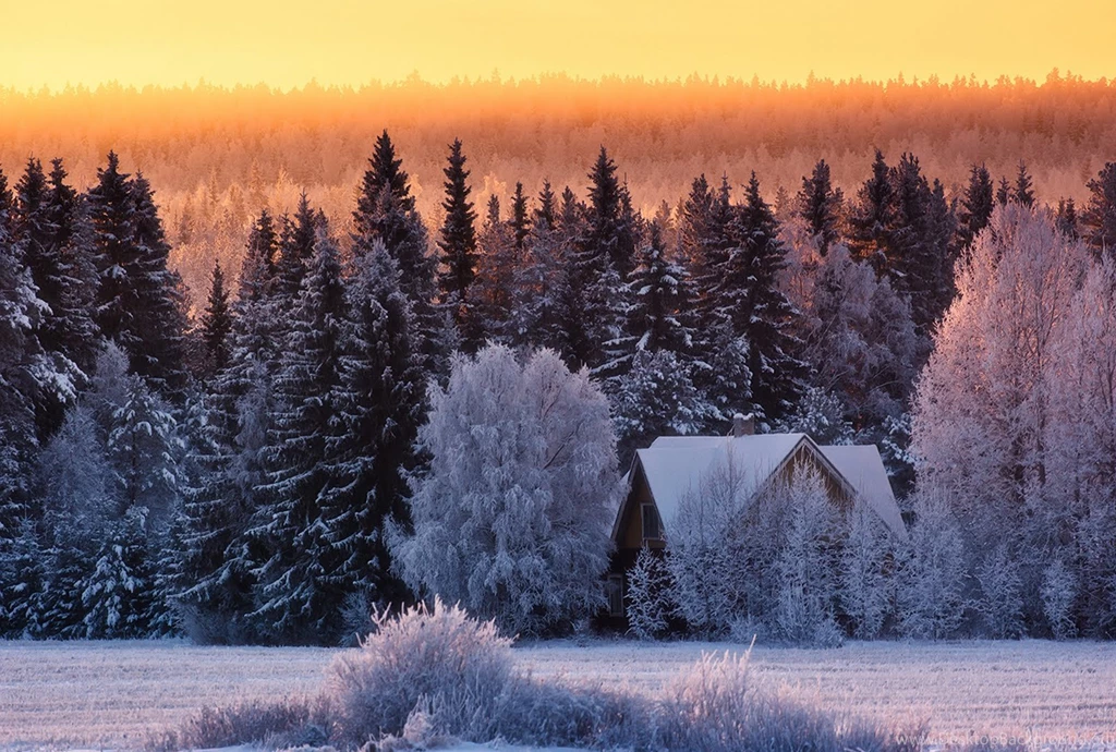 Wallpapers Cold Winter Day 1600x1078 IWallHD Wallpapers HD
