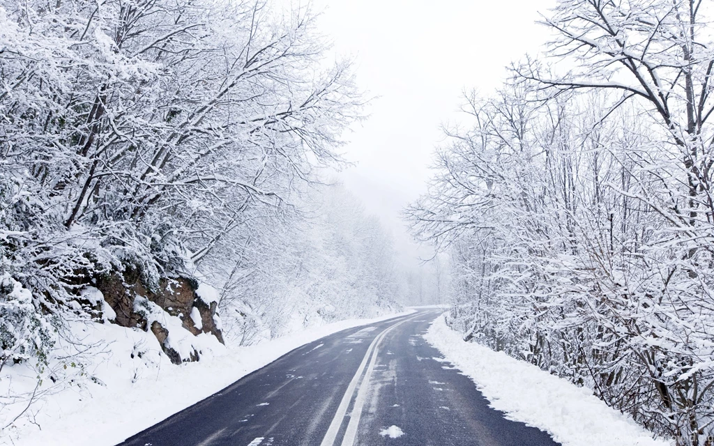 Cold Winter Road Wallpapers 2560x1600 2158693