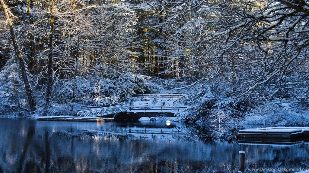 Nature Landscapes Trees Forest Lakes Water Reflection Winter Snow ...