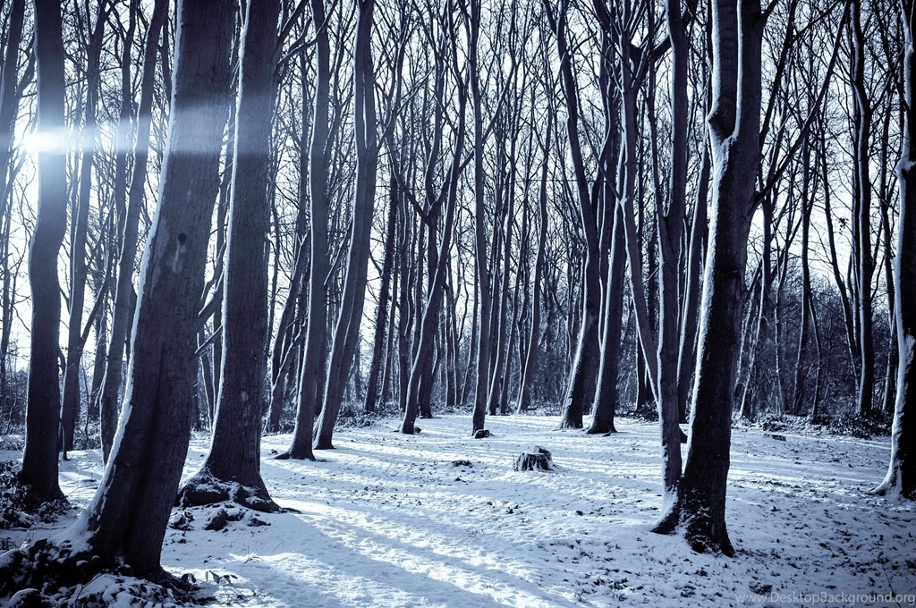 Winter Scenes HD Wallpapers