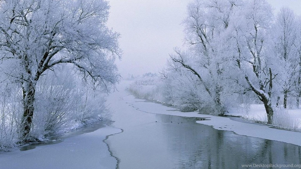 Wallpaper Winter River Snow Trees Frozen World Ice