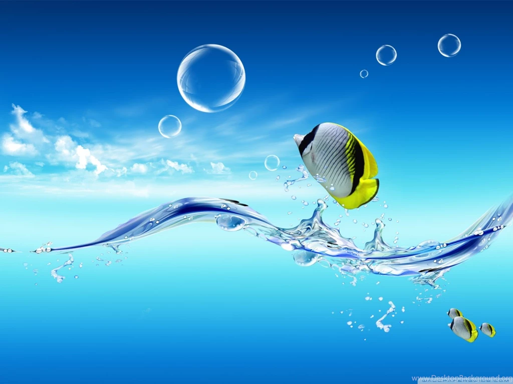Fish Jumping Out Of The Water HD Desktop Wallpapers : Widescreen ...