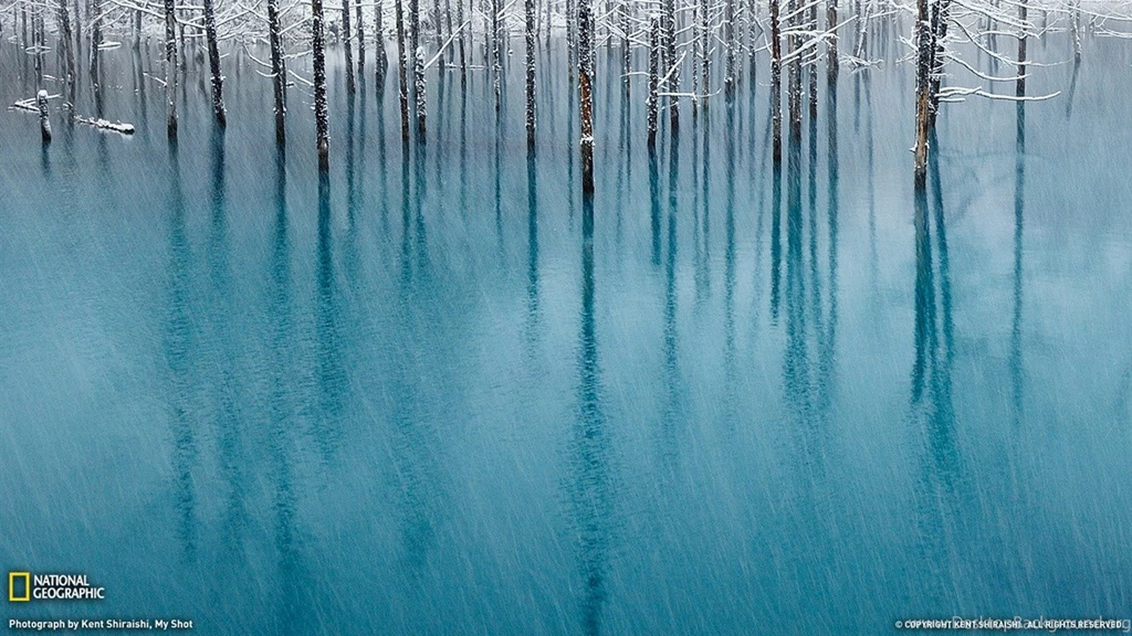Blue Pond Hokkaido Landscape Photography Theme Wallpapers ...