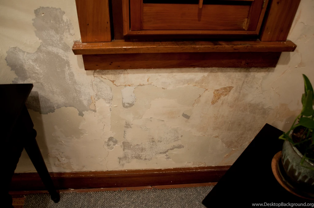 Reeling From Wallpapers Home Hinges Home Improvement Online ...