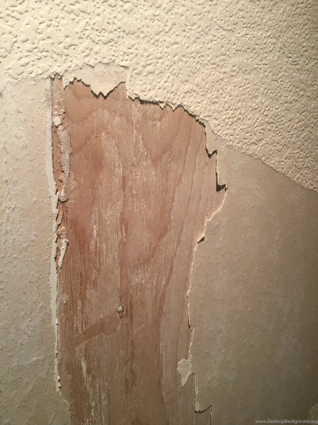 Plaster Skim Onto Wood. Can't Be Right Surely?   Page 1   Homes ...