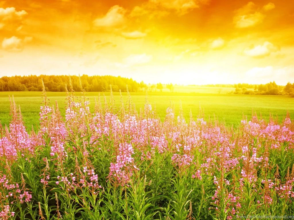 Wallpaper: Free Photography Wallpapers