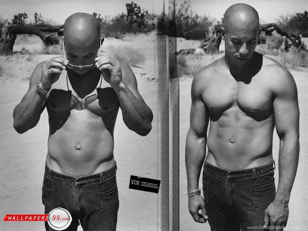 Vin Diesel Wallpapers Picture Image 1024x768 18440