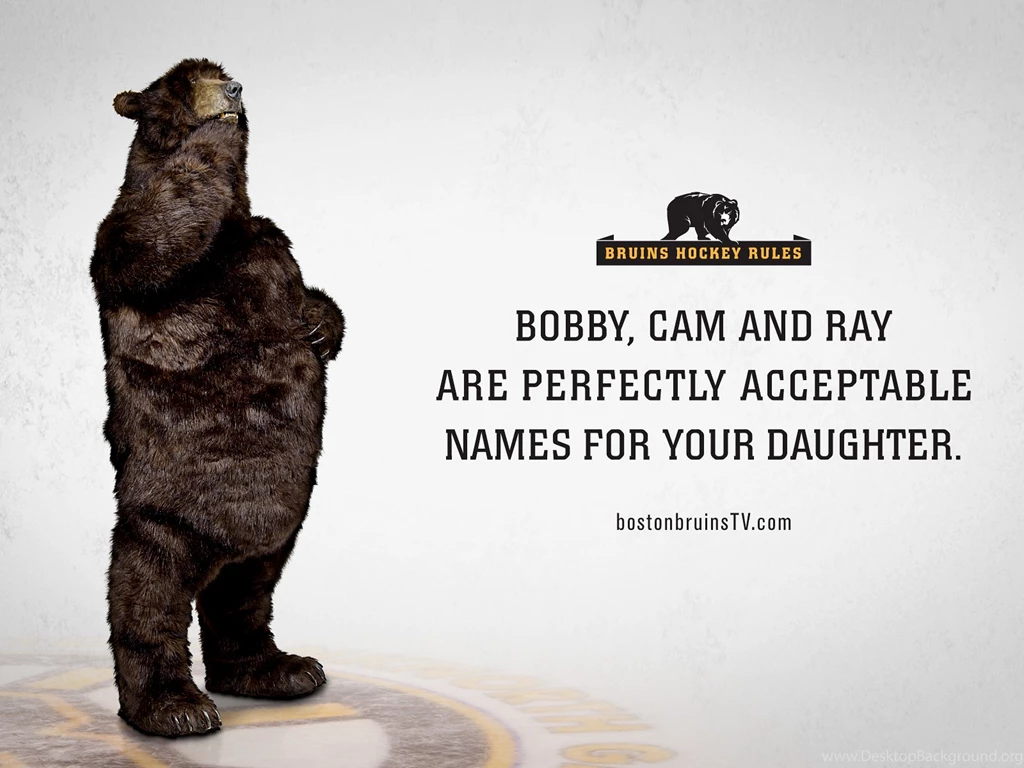 Boston Bruins Wallpapers 16403 Hd Pictures