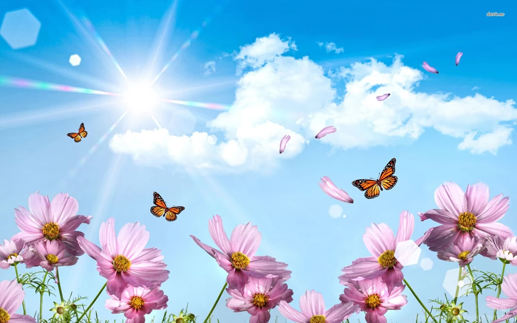 Wallpapers Spring