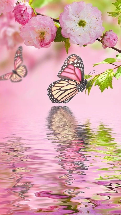 Spring Flowers Live Wallpapers Android Apps On Google Play