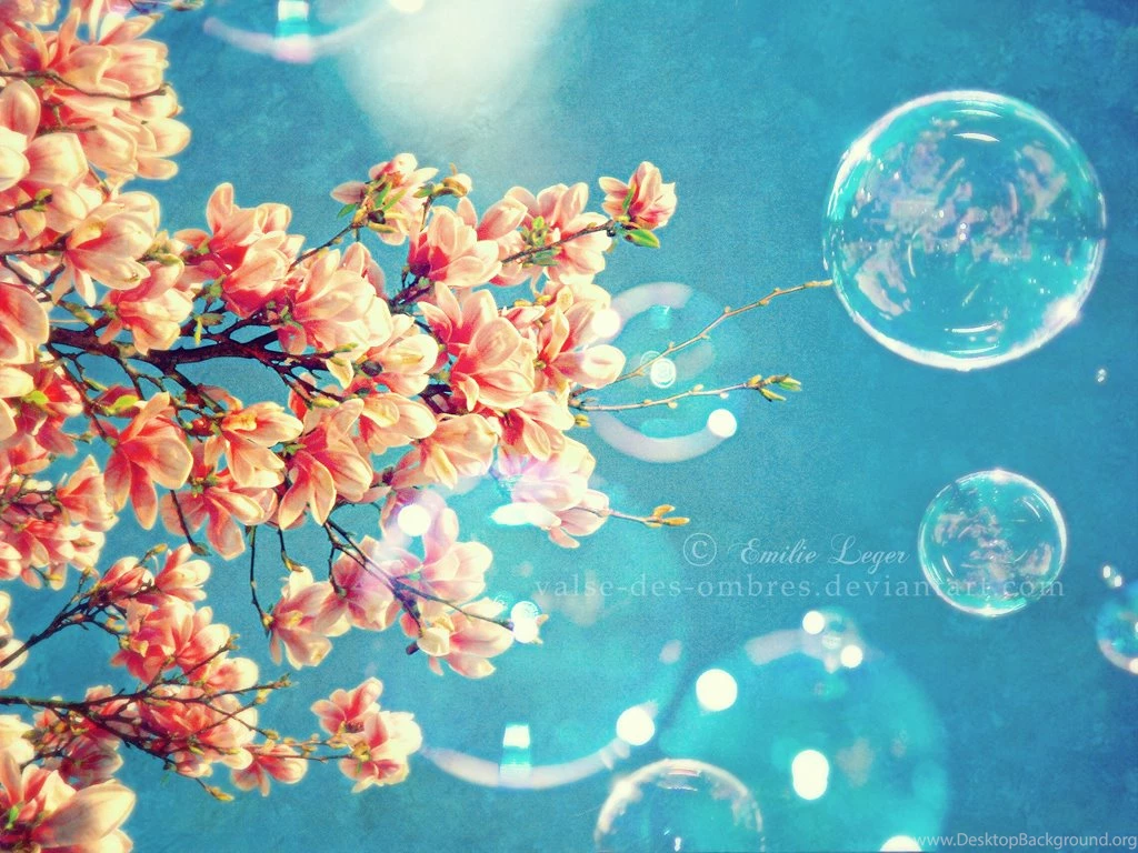 Spring Wallpapers Collection (26+)