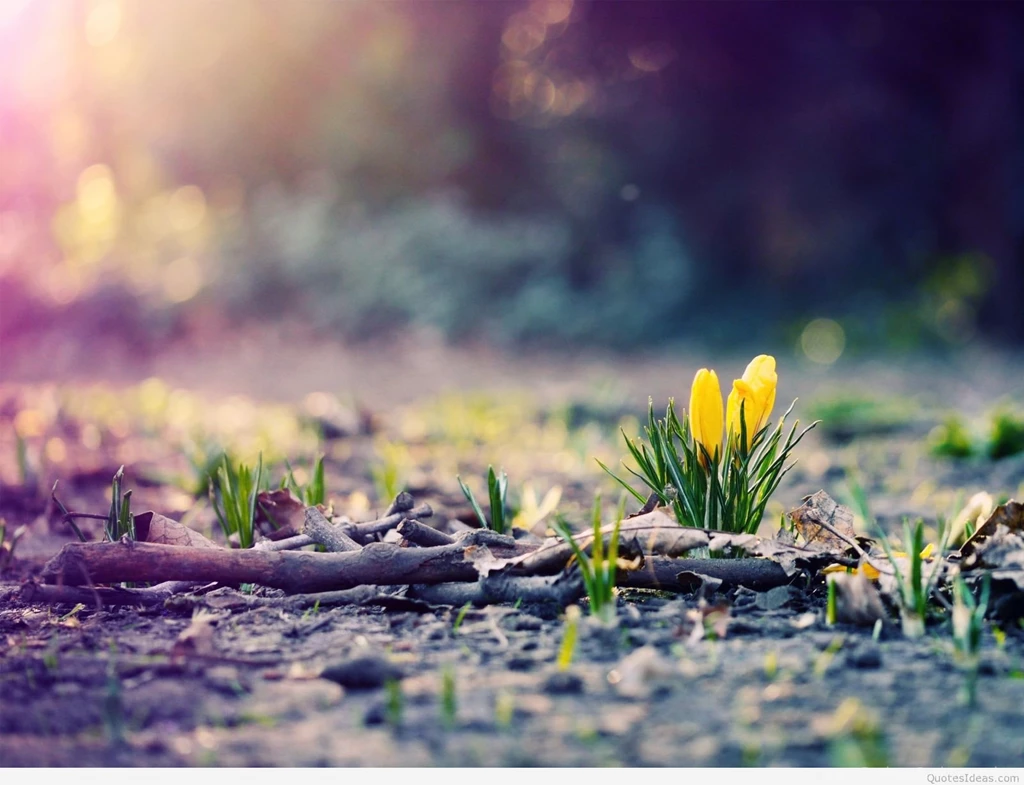 March Spring Wallpapers