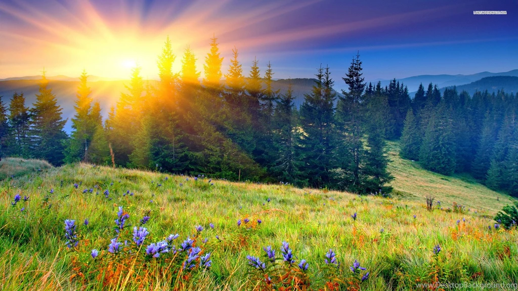 Spring Wallpapers 369 HD Wallpapers