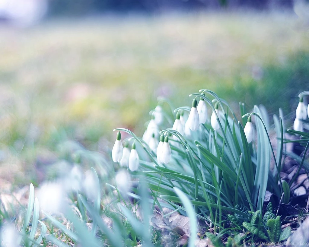 1280x1024 Spring Wallpapers HD, Desktop Backgrounds 1280x1024