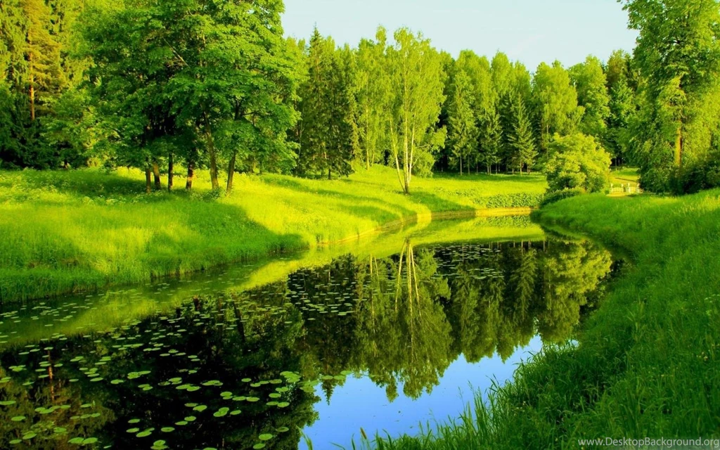 Spring Wallpapers Android Apps On Google Play
