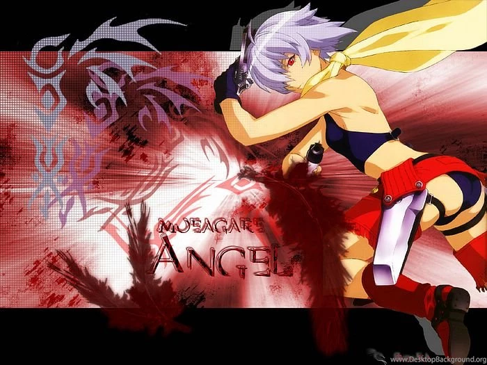 Burst Angel Anime Wallpapers 40 Wallcoo.net