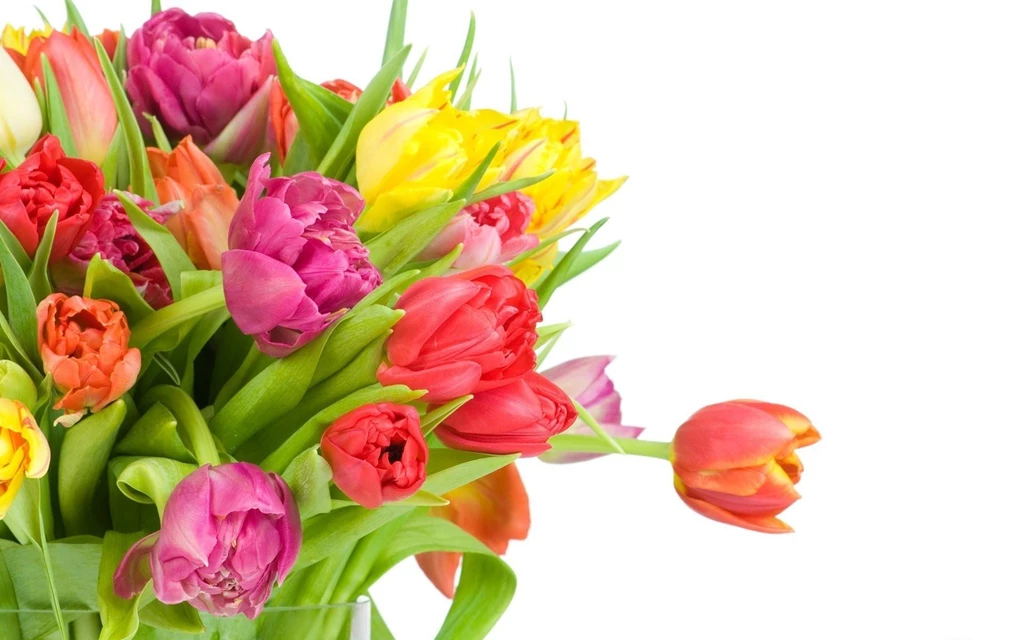Download Wallpapers 3840x2400 Tulips, Flowers, Bouquet, Bright ...
