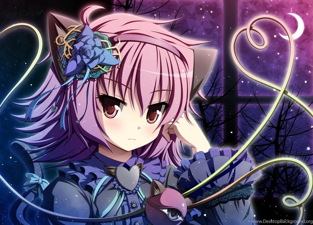 Anime Neko Wallpapers Wallpapers Zone