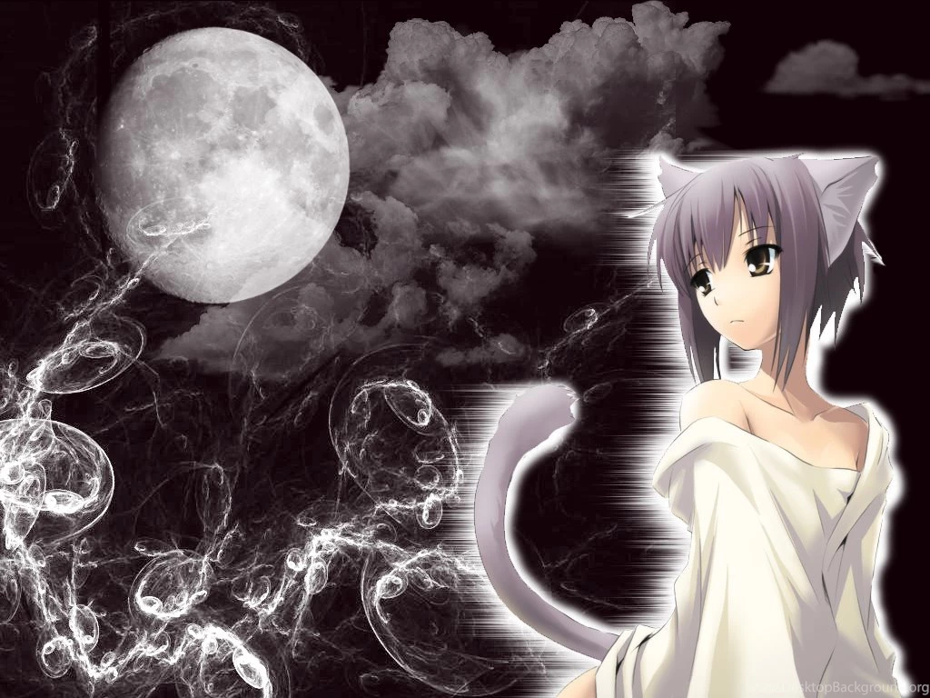 Anime Neko Wallpapers Wallpapers Zone