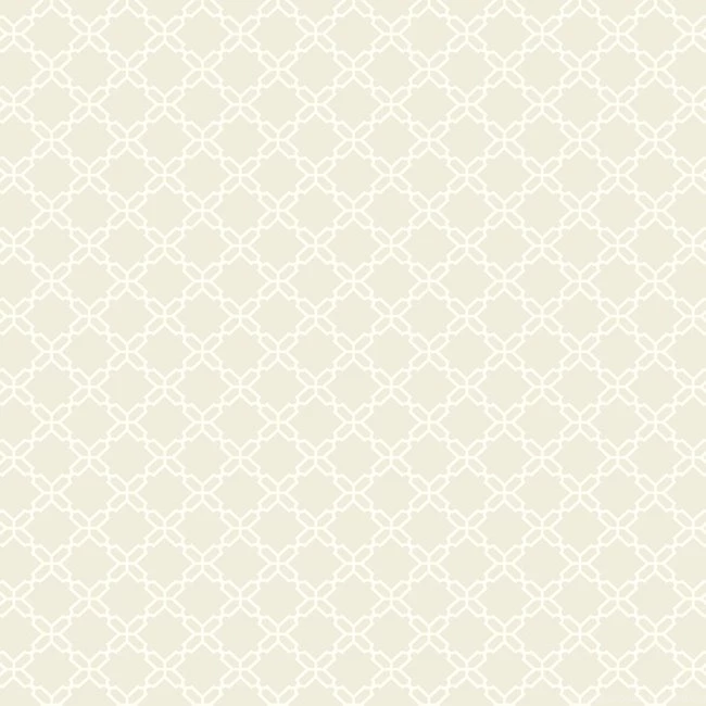 AB2154 Black & White Geometric Trellis Wallpapers By York