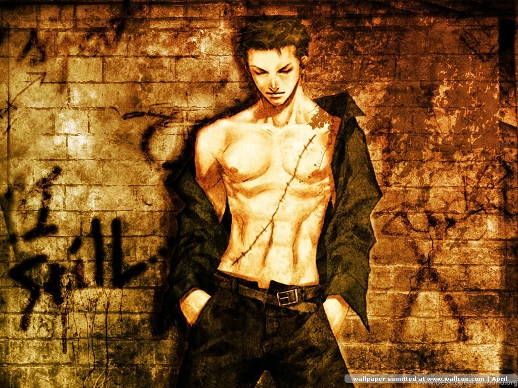 One Piece Mugiwara Luffy Boa Hancock Fanart Anime One Piece ...