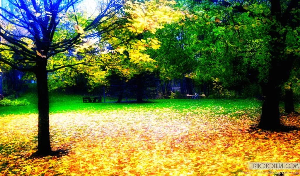 Nature Wallpapers Download K6N8H HD Wallpapers Desktop Backgrounds