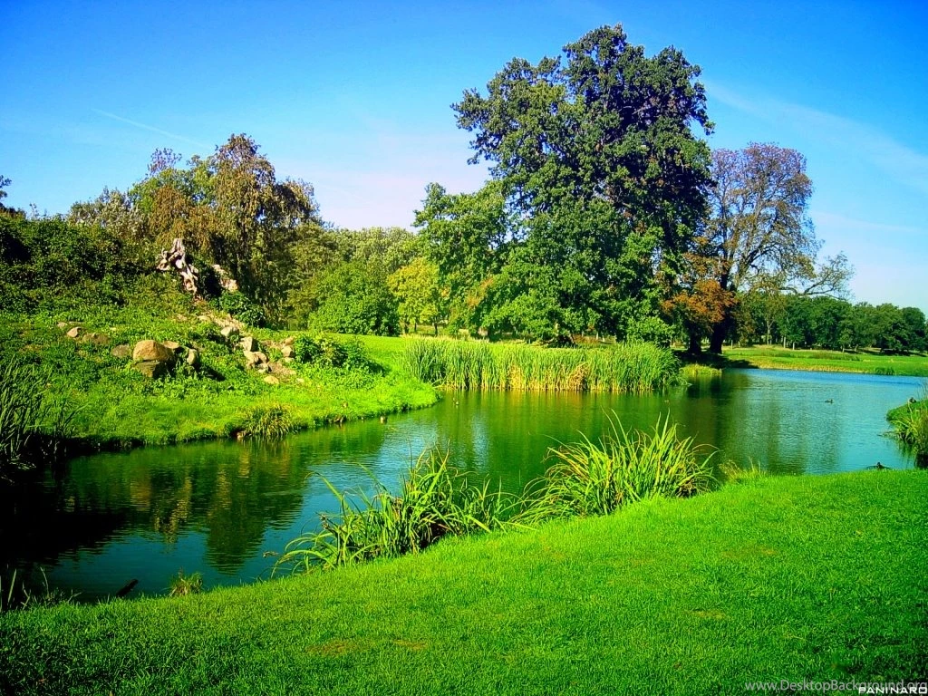 Nature Best Free Wallpapers