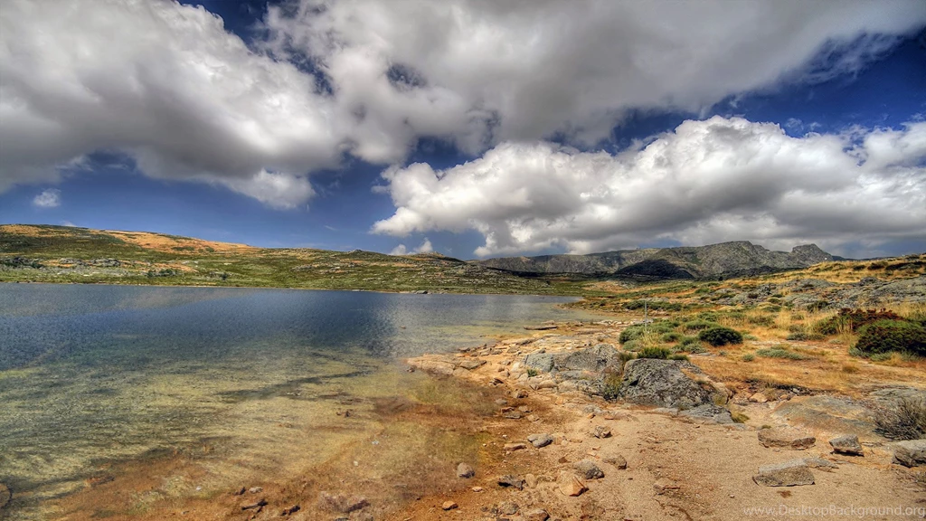 Dreamscene.org Gallery/Download Free Dreamscenes, Video Loops ...