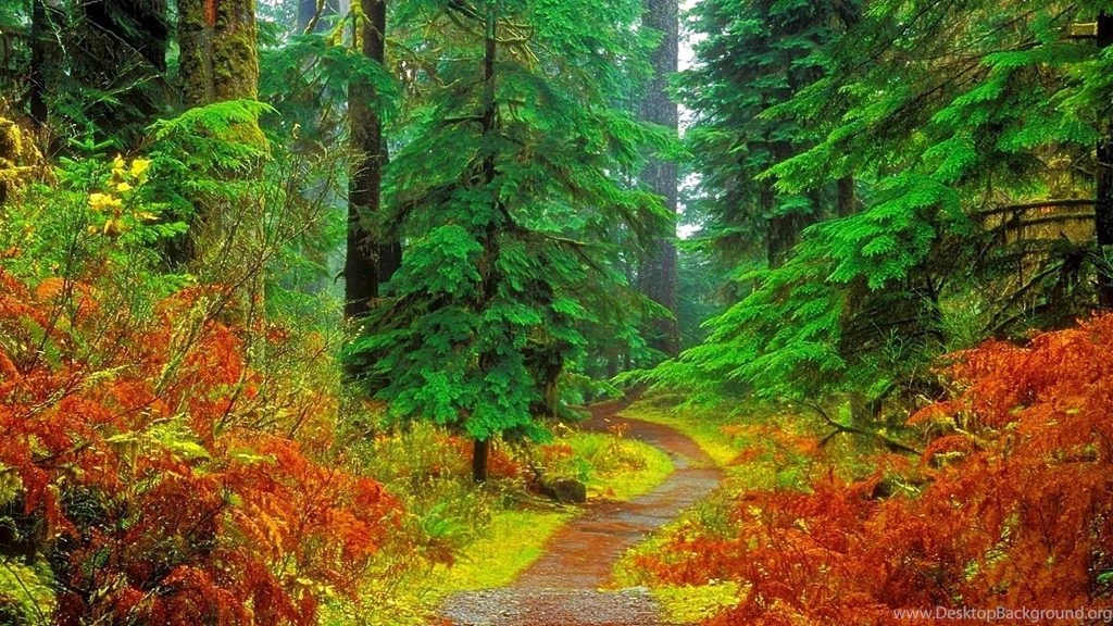 Wallpapers Nature Full Size Desktop 2015 Wallpapers Cave