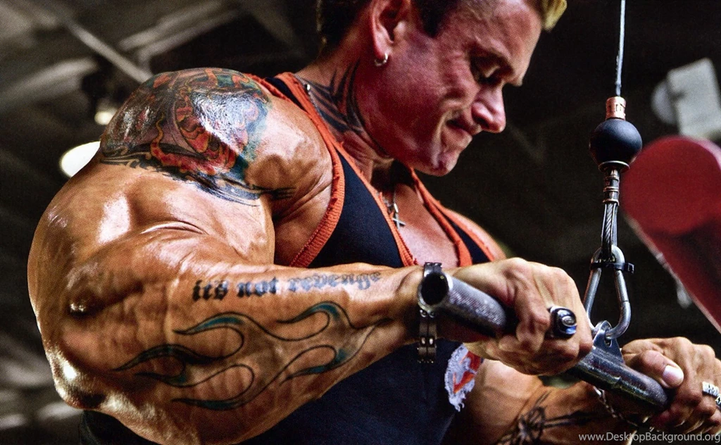 Super Body Builders Wallpapers