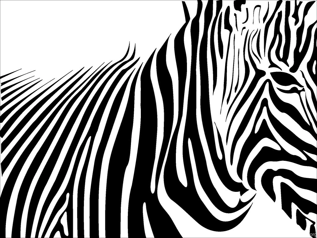 Zebra Stripes Wallpapers