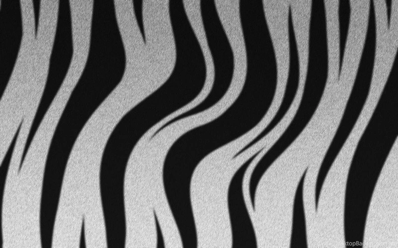 Zebra Stripes Wallpapers