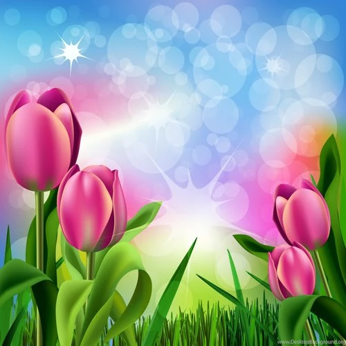 Spring Flower Beautiful Backgrounds Vectors 13   Vector Backgrounds ...