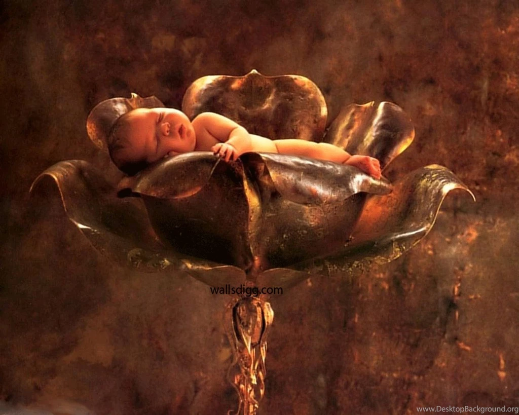 Amazing Funny Picture: Cute Baby HD Picture & Wallpapers Free Download