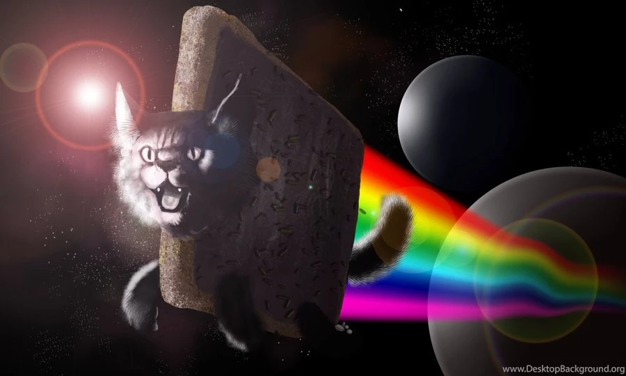Image Nyan Cat Wallpaper.jpg FusionFall Wiki Wikia