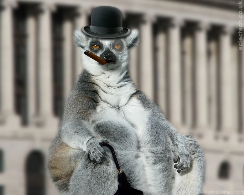 A Grumpy Lemur In Bowler Hat.