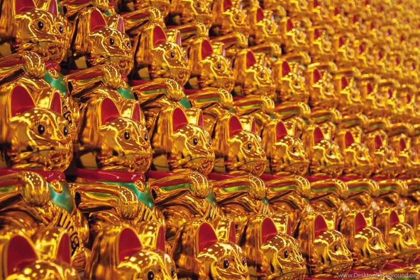 Lucky Cat Army In The Global Pursuit Of Happiness