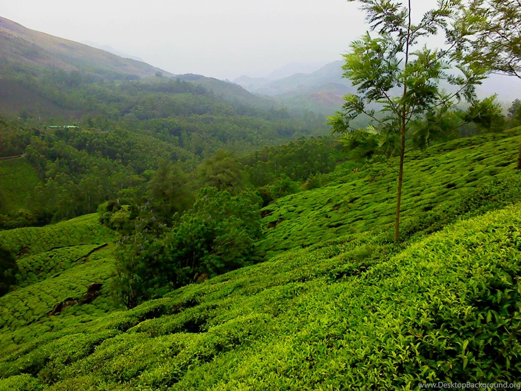 Free 1600X1200 Munnar Wallpapers Screensaver Preview Id 105216 ...