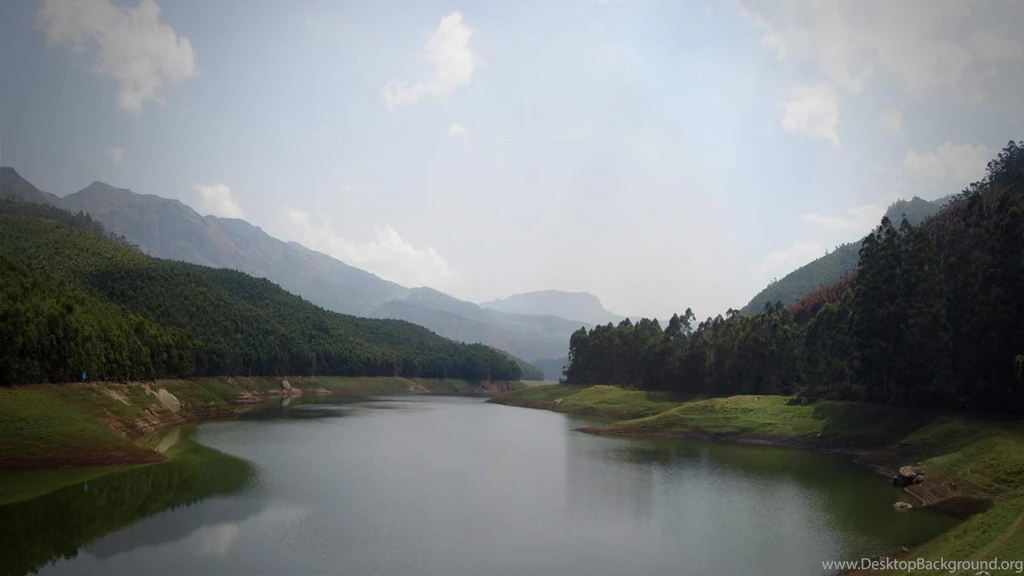 Wyte Mist Hotel Munnar, Kerala