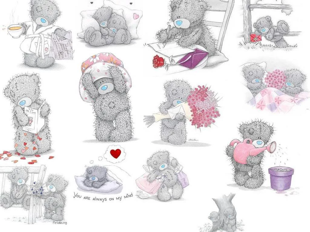 Wallpapers Tatty Teddy Flower Me To You Free Screensavers 1024x768 ...