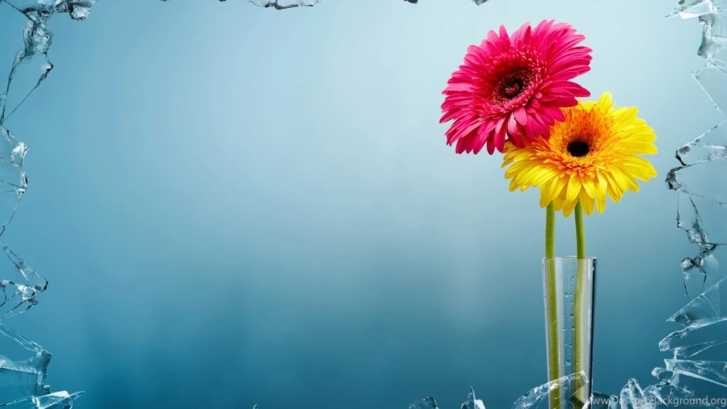Broken Window & Flowers In Vase HD Wallpapers. 4K Wallpapers