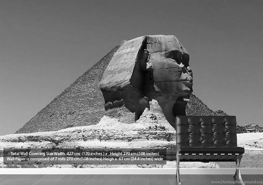 Pharaoh Head Egypt Modern Wallpapers Printed Wall Paper